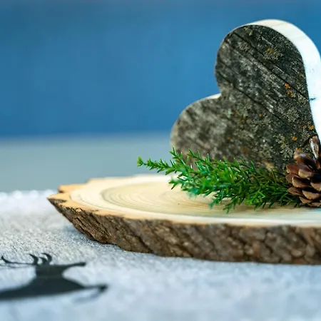 Alpin Am Burgsee Apartamento *